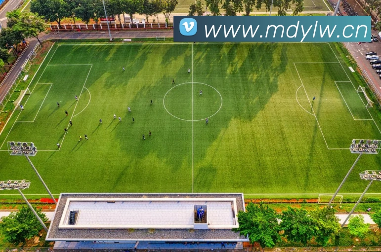 大阳城集团资料大全平台生态图