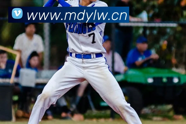 大阳城集团资料大全全站App